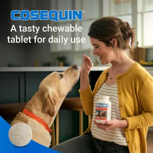 cosequin-dog-joint-chews
