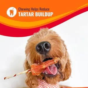 kabobs-long-lasting-treat