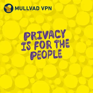 mullvad-vpn-12-months
