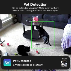 wyze-cam-unlimited-plan