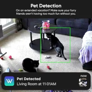 wyze-cam-unlimited-plan