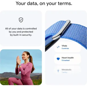 fitbit-google-air