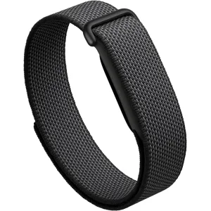 Fitbit Google Air