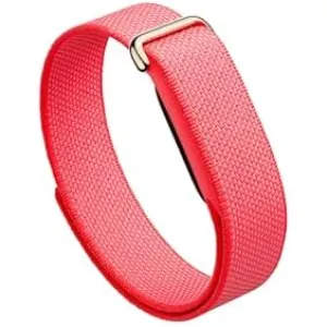 fitbit-google-air