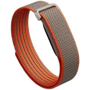 fitbit-google-air