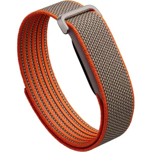 fitbit-google-air