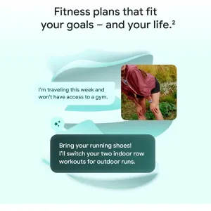 fitbit-google-air