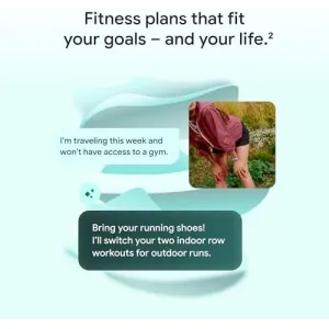 fitbit-google-air