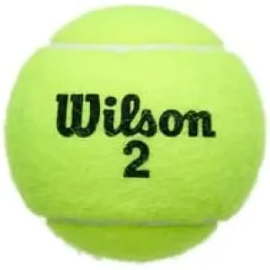 wilson-championship-tennis-balls