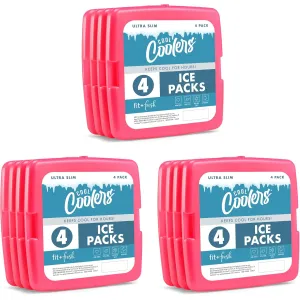 slim-ice-packs-4-pack