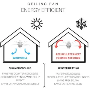 coastal-bead-ceiling-fan