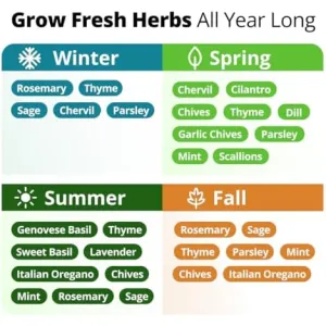 herb-seed-variety-kit