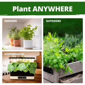 herb-seed-variety-kit