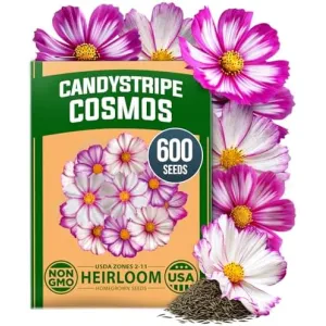 herb-seed-variety-kit