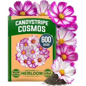 herb-seed-variety-kit