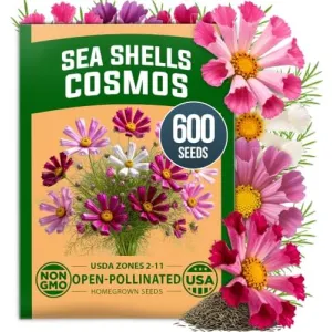 herb-seed-variety-kit