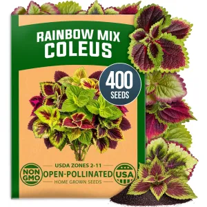 herb-seed-variety-kit