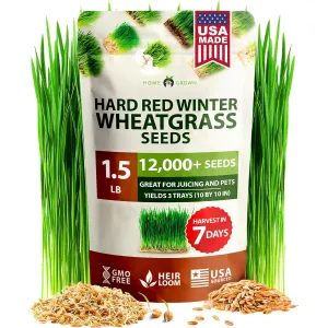 herb-seed-variety-kit