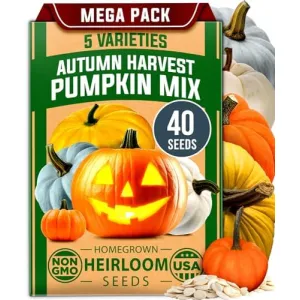 herb-seed-variety-kit