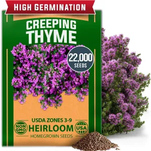 herb-seed-variety-kit