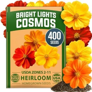 herb-seed-variety-kit