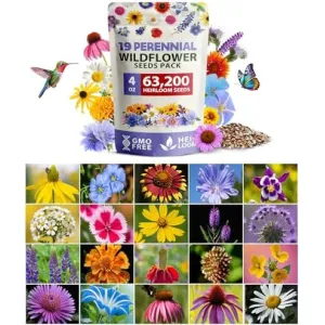 herb-seed-variety-kit