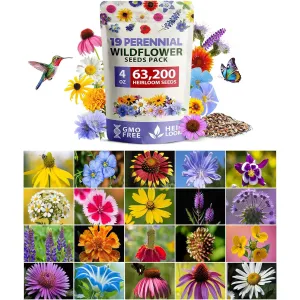 herb-seed-variety-kit