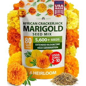 herb-seed-variety-kit