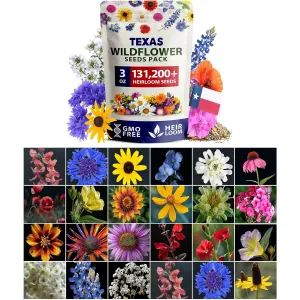 herb-seed-variety-kit