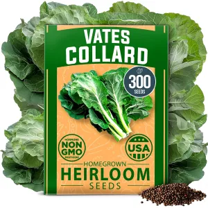 herb-seed-variety-kit
