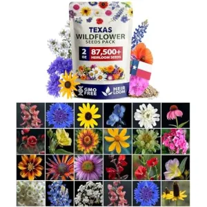 herb-seed-variety-kit