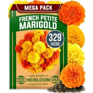 herb-seed-variety-kit