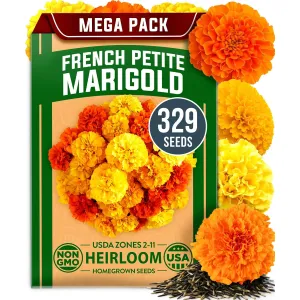 herb-seed-variety-kit