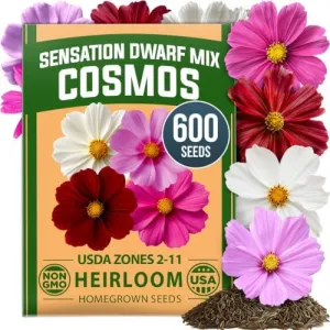 herb-seed-variety-kit