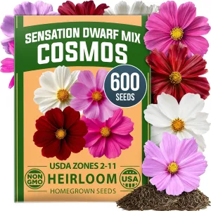 herb-seed-variety-kit