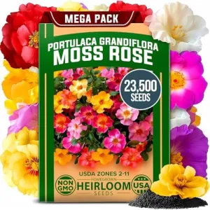 herb-seed-variety-kit