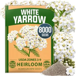 herb-seed-variety-kit