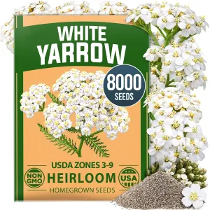 herb-seed-variety-kit
