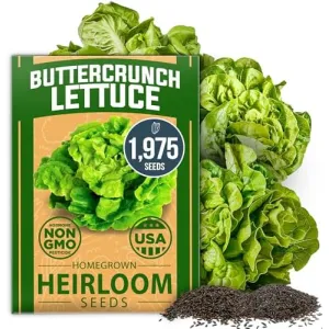herb-seed-variety-kit
