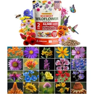 herb-seed-variety-kit