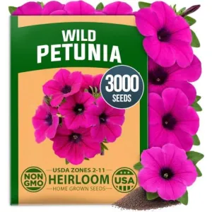 herb-seed-variety-kit