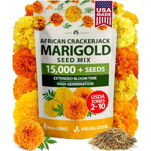 herb-seed-variety-kit