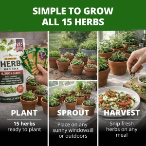herb-seed-variety-kit