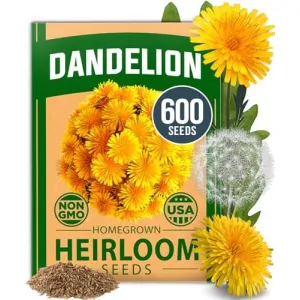 herb-seed-variety-kit