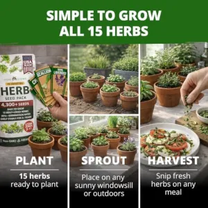 herb-seed-variety-kit