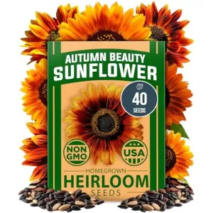 herb-seed-variety-kit