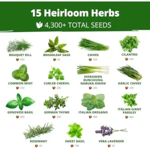 herb-seed-variety-kit