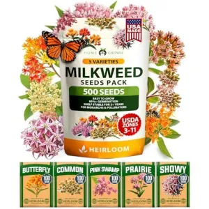 herb-seed-variety-kit