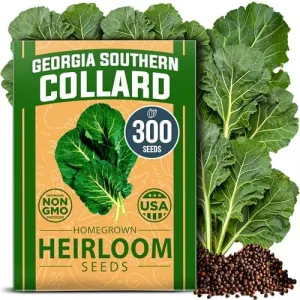 herb-seed-variety-kit