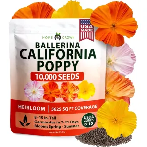 herb-seed-variety-kit